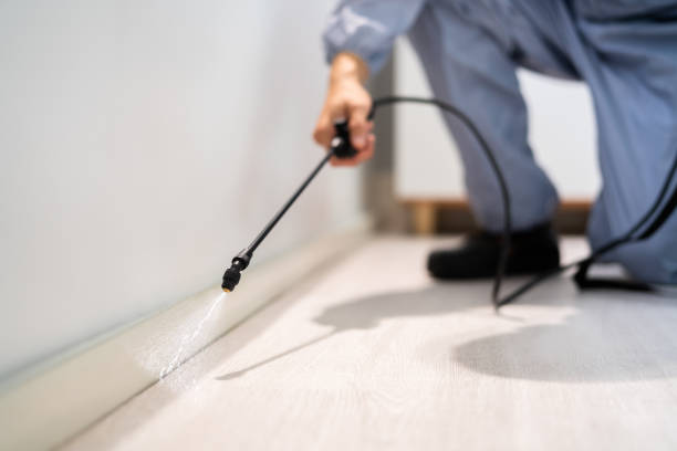 Licensed Cockroach Control service in Knik-Fairview, AK - Nex Pest Control