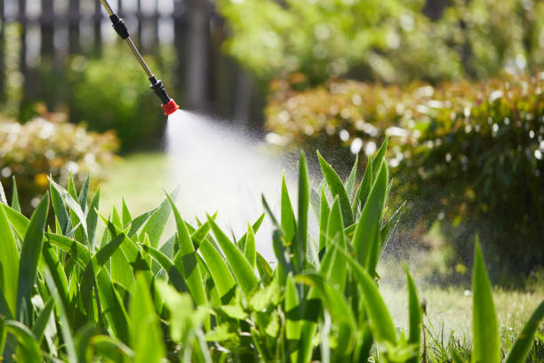24/7 Emergency Cockroach Control experts in Knik-Fairview, AK