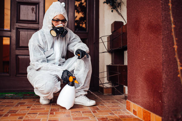 Reliable Cockroach Control contractor in Knik-Fairview, AK by Nex Pest Control