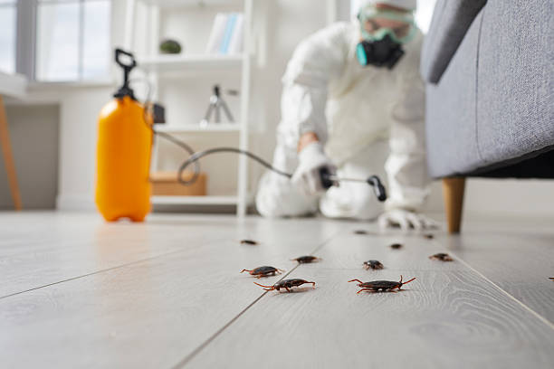 Trusted Cockroach Control service in Knik-Fairview, AK - Nex Pest Control