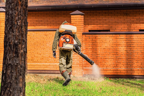 Trusted Mosquito Control service in Knik-Fairview, AK - Nex Pest Control